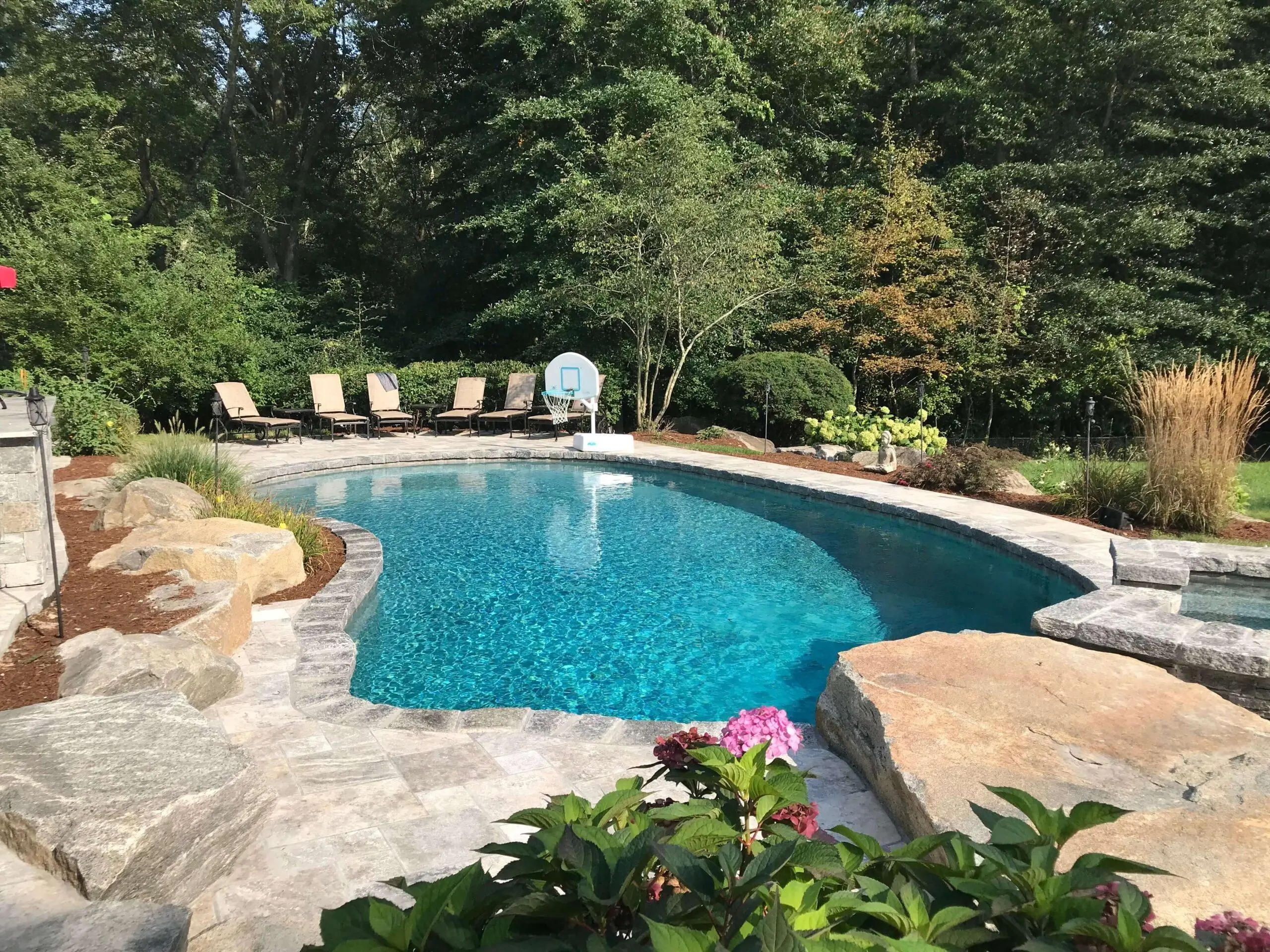Backyard pool with basketball hoop